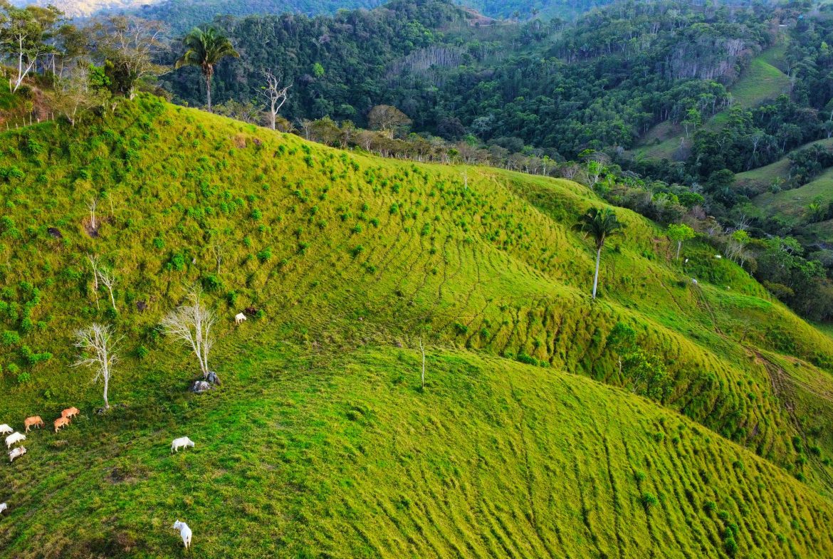 CHARMING 88 ACRES FARM WITH ABUNDANT NATURAL RESOURCES – 88.7 ACRES