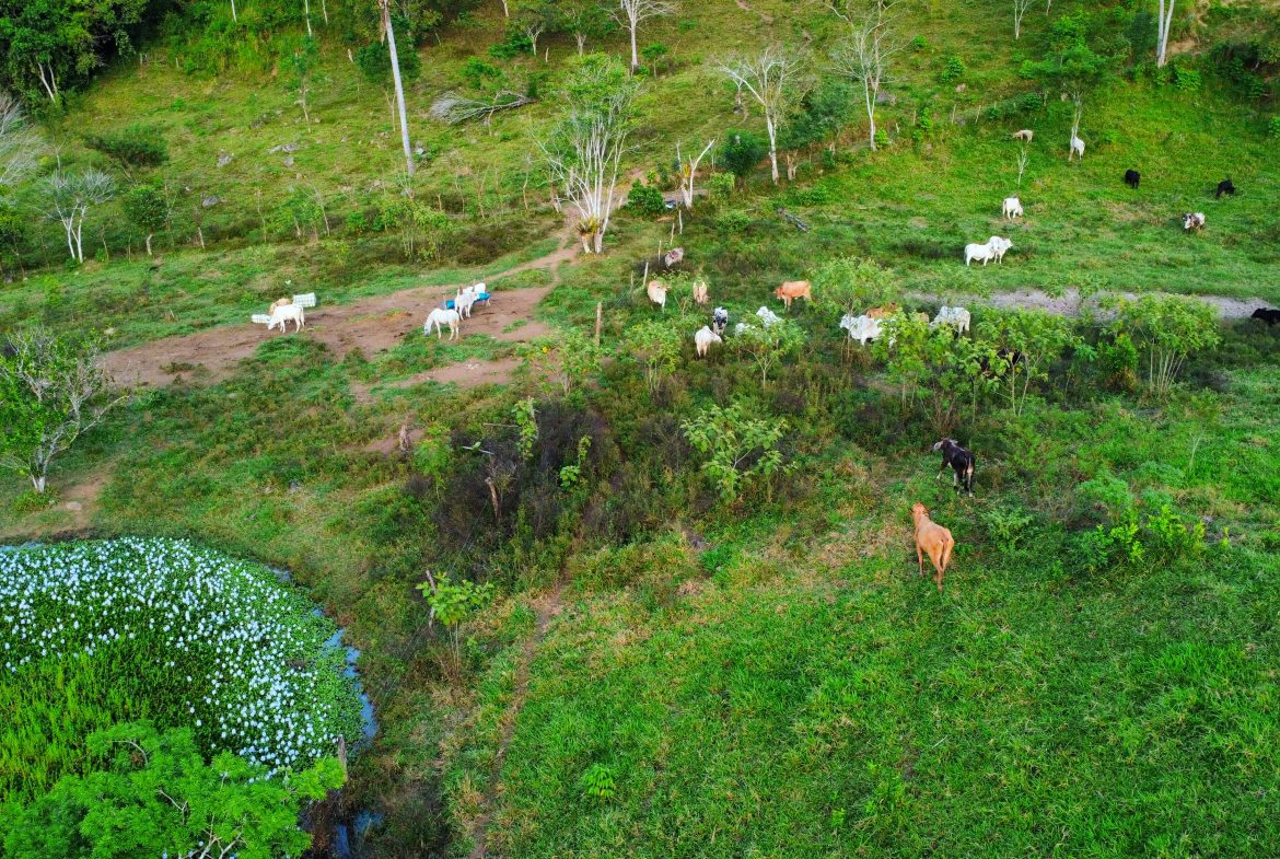CHARMING 88 ACRES FARM WITH ABUNDANT NATURAL RESOURCES – 88.7 ACRES