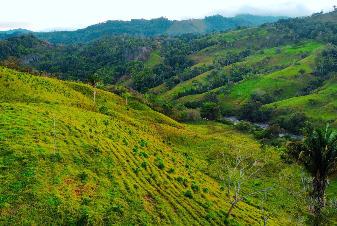 CHARMING 88 ACRES FARM WITH ABUNDANT NATURAL RESOURCES – 88.7 ACRES