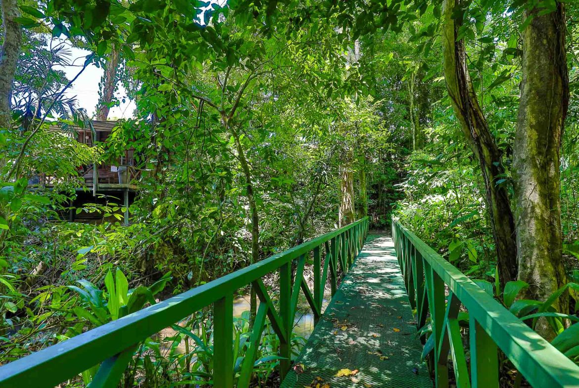 TWO APARTMENTS AND EXTRA LAND IN Manuel Antonio 0.79 ACRES