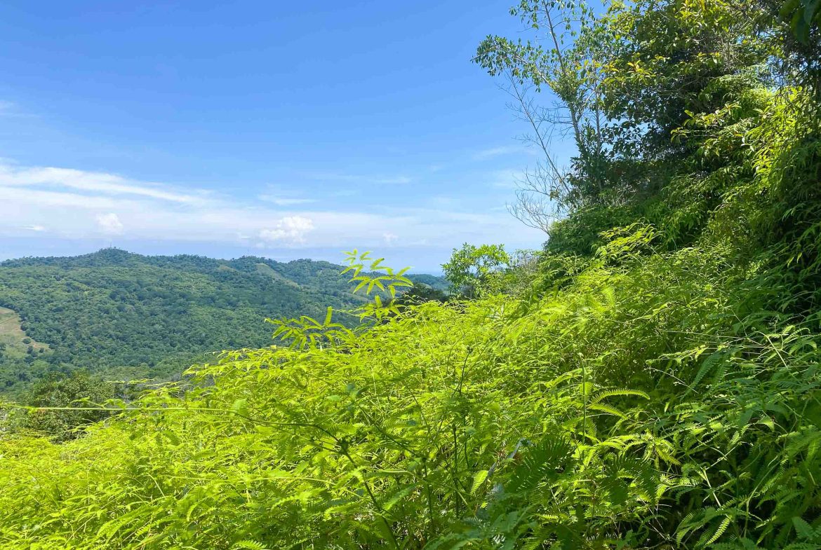 OCEAN AND MOUNTAIN VIEW PEACEFUL LOT – 5.6 ACRES