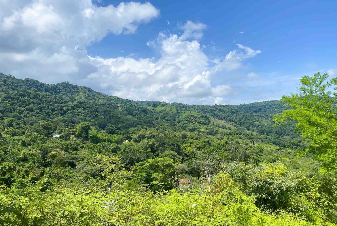 OCEAN AND MOUNTAIN VIEW PEACEFUL LOT – 5.6 ACRES