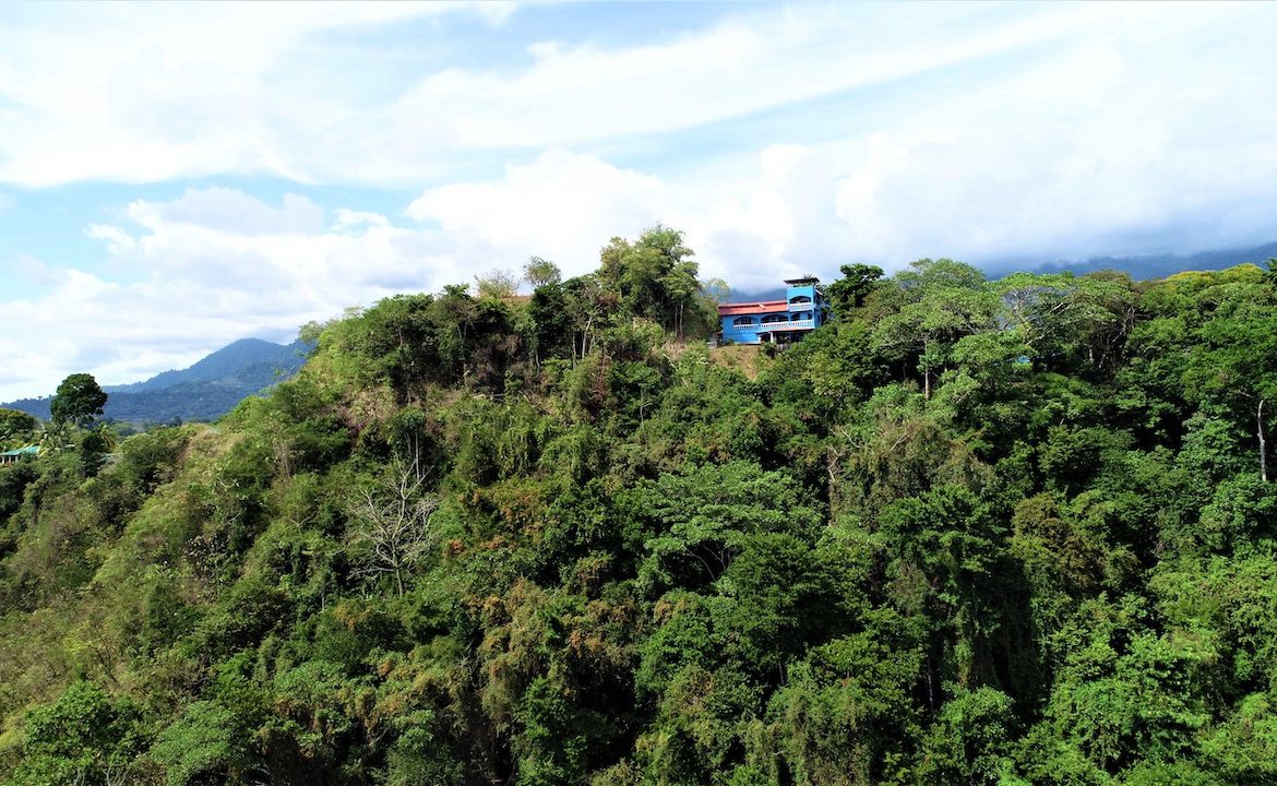 HOUSE AND CABINS WITH AMAZING OCEAN VIEWS – 1.75 ACRES, Uvita, Costa Rica — photo 7