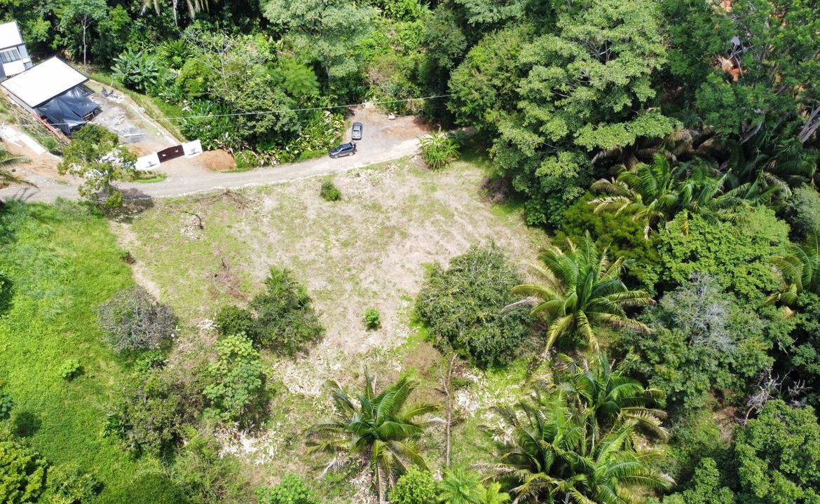 LOTS OF USABLE LAND WITH AMAZING LOCATION MINUTES TO UVITA – 2.08 ACRES