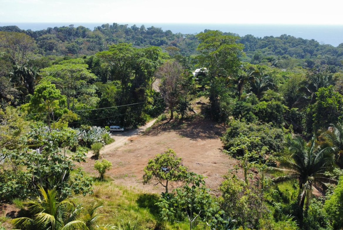 LOTS OF USABLE LAND WITH AMAZING LOCATION MINUTES TO UVITA – 2.08 ACRES