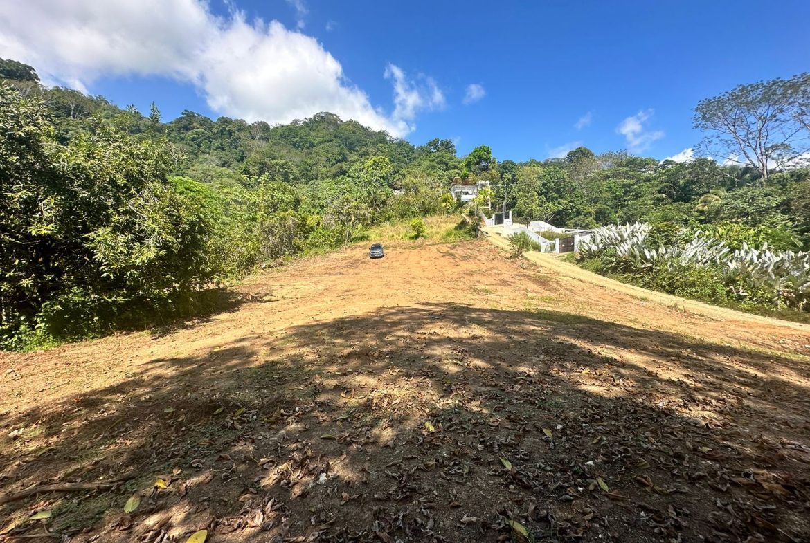 LOTS OF USABLE LAND WITH AMAZING LOCATION MINUTES TO UVITA – 2.08 ACRES