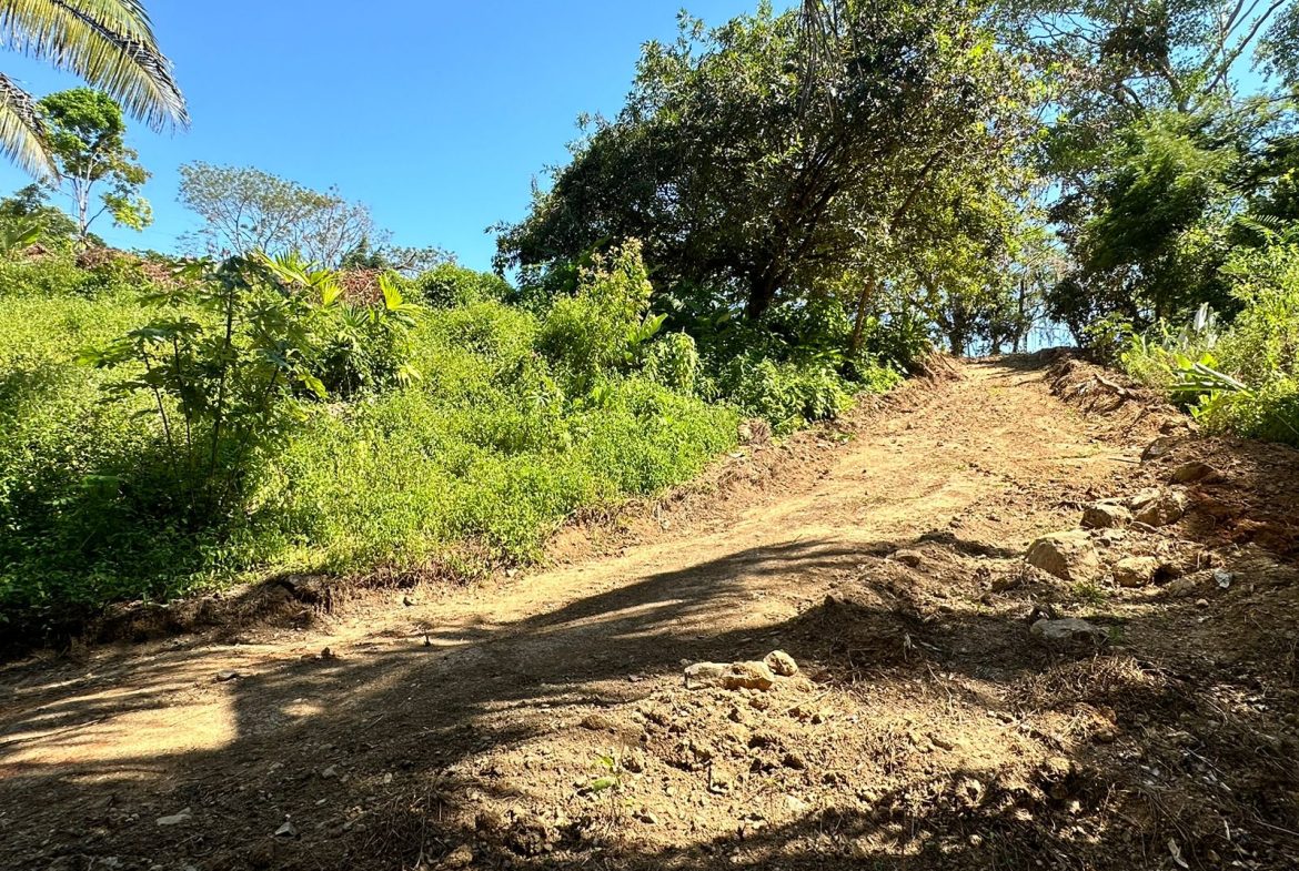 LOTS OF USABLE LAND WITH AMAZING LOCATION MINUTES TO UVITA – 2.08 ACRES