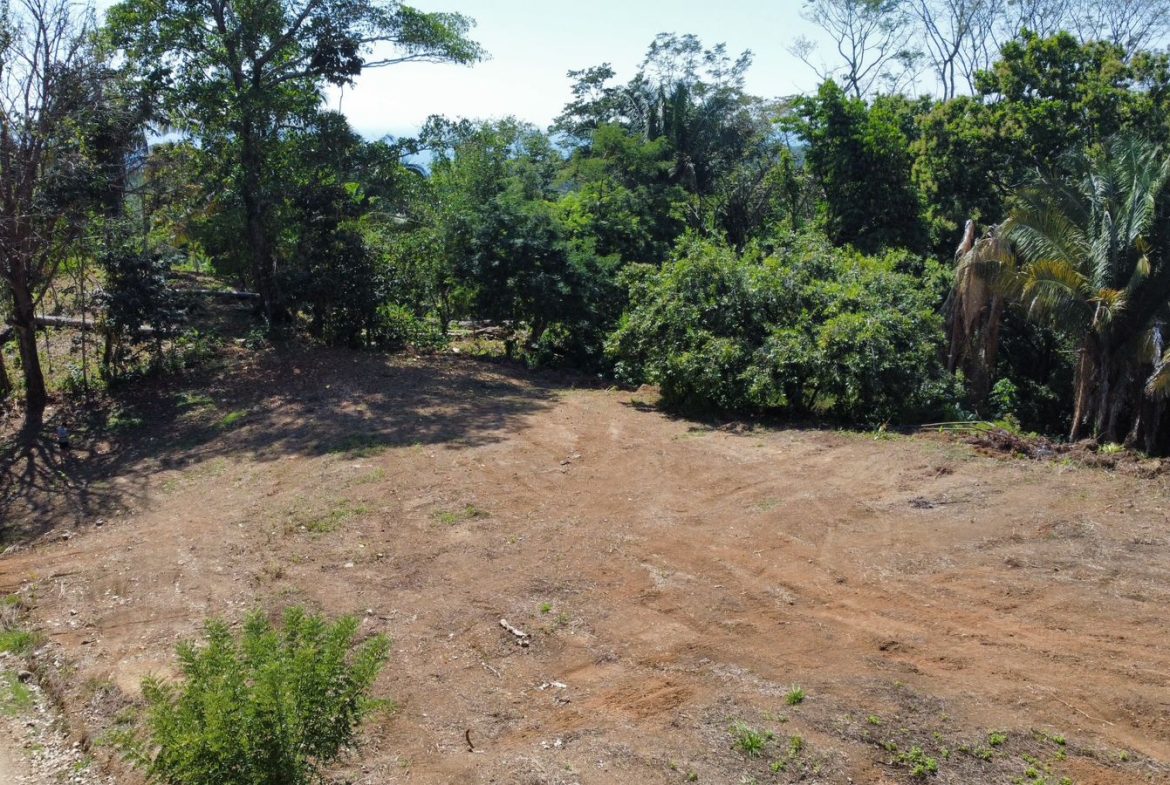 LOTS OF USABLE LAND WITH AMAZING LOCATION MINUTES TO UVITA – 2.08 ACRES