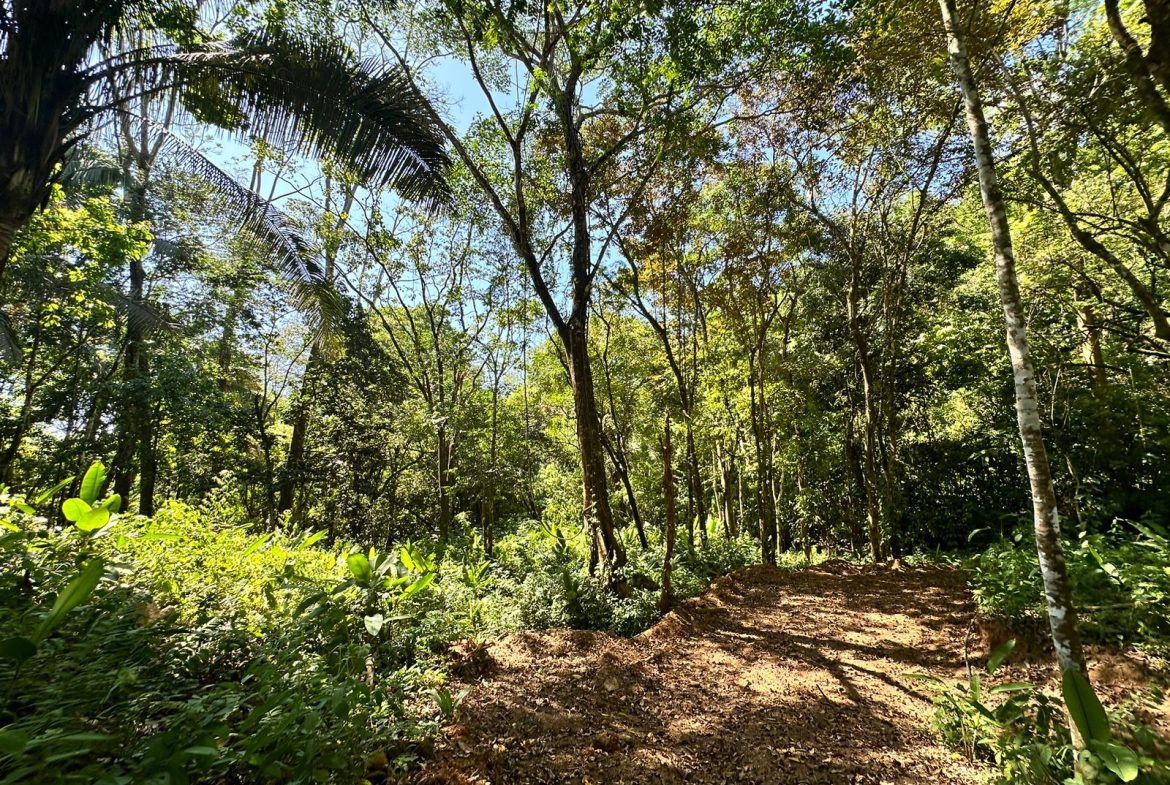 LOTS OF USABLE LAND WITH AMAZING LOCATION MINUTES TO UVITA – 2.08 ACRES