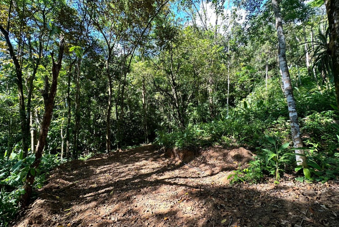 LOTS OF USABLE LAND WITH AMAZING LOCATION MINUTES TO UVITA – 2.08 ACRES
