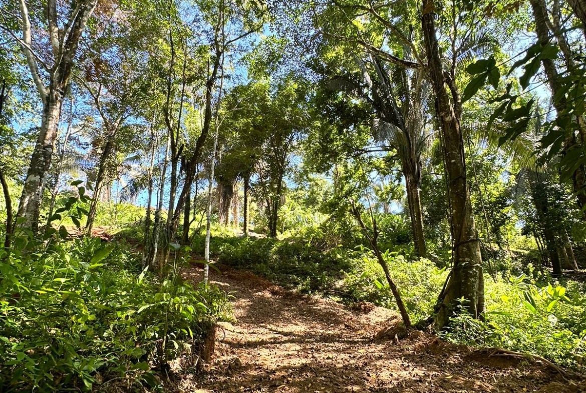 LOTS OF USABLE LAND WITH AMAZING LOCATION MINUTES TO UVITA – 2.08 ACRES