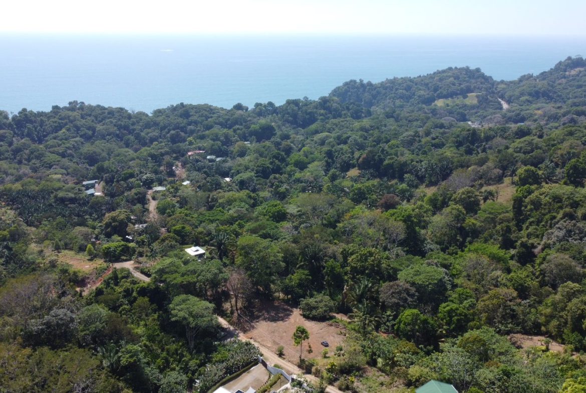 LOTS OF USABLE LAND WITH AMAZING LOCATION MINUTES TO UVITA – 2.08 ACRES