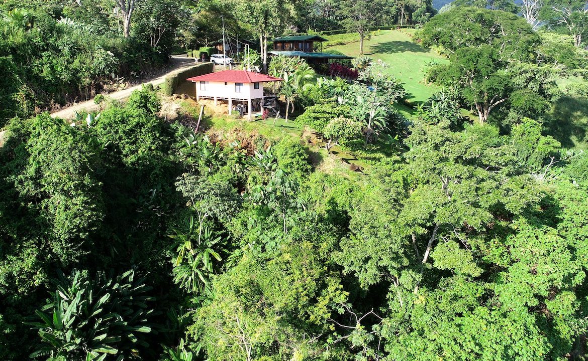 2 BEDROOM HOUSE WITH AMAZING OCEAN VIEWS – 1.02 ACRES, Uvita, Costa Rica — photo 6