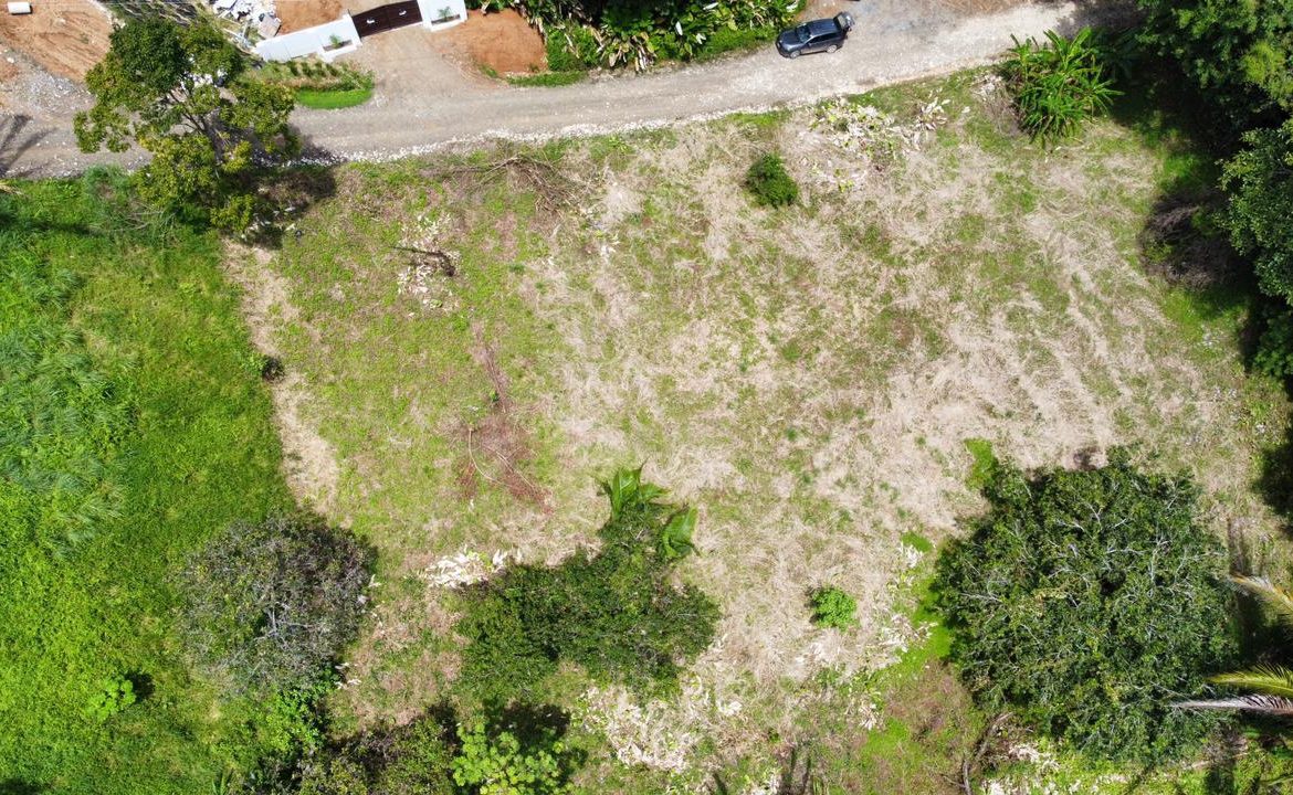 LOTS OF USABLE LAND WITH AMAZING LOCATION MINUTES TO UVITA – 2.08 ACRES