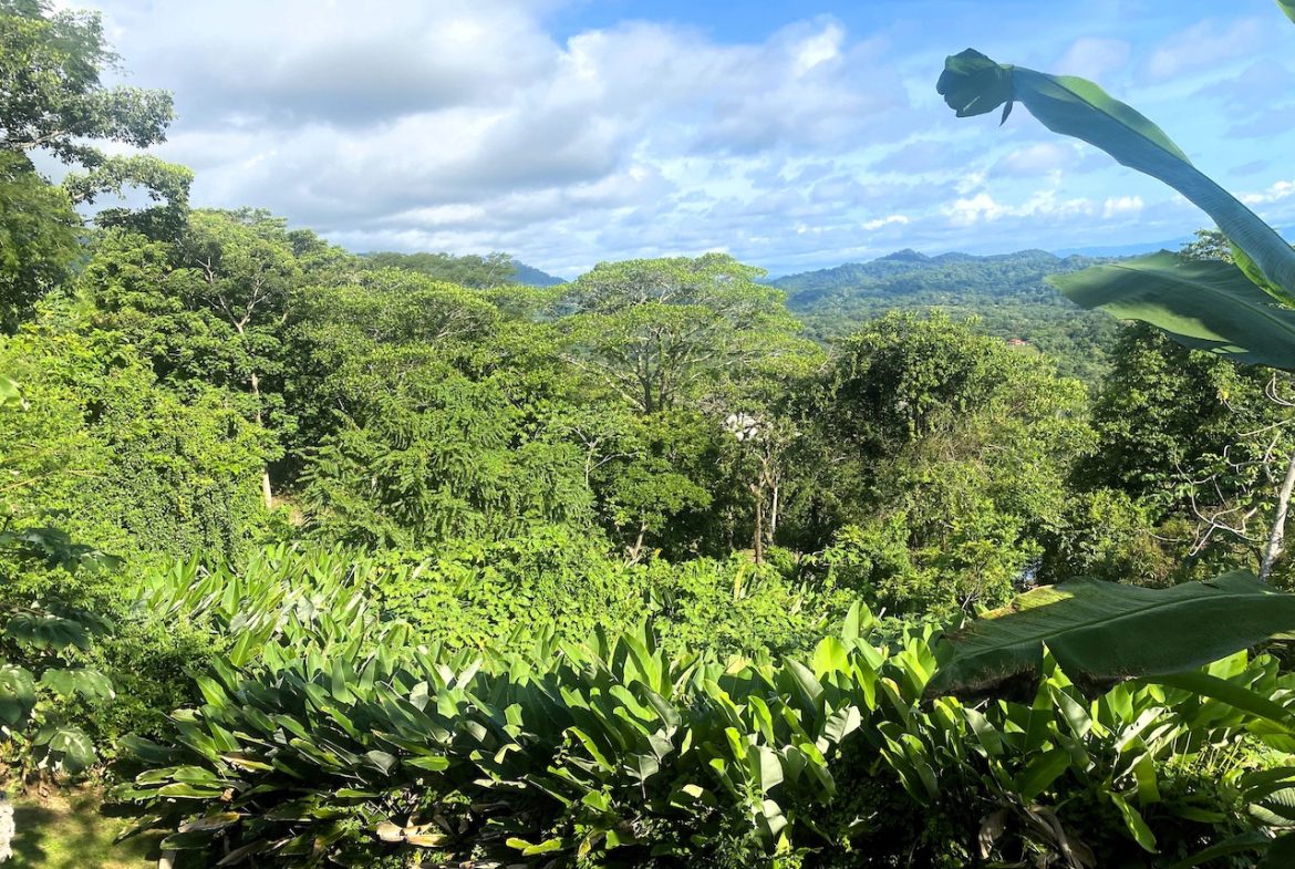 2 BEDROOM HOUSE WITH AMAZING OCEAN VIEWS – 1.02 ACRES