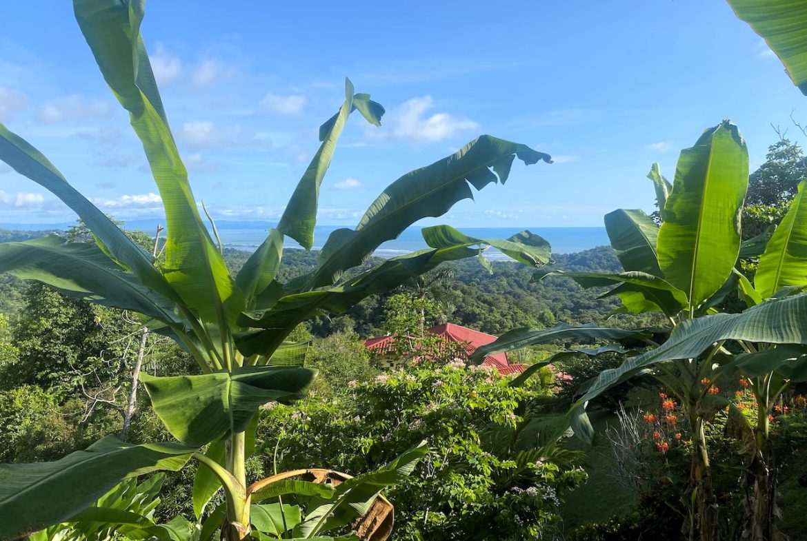 2 BEDROOM HOUSE WITH AMAZING OCEAN VIEWS – 1.02 ACRES