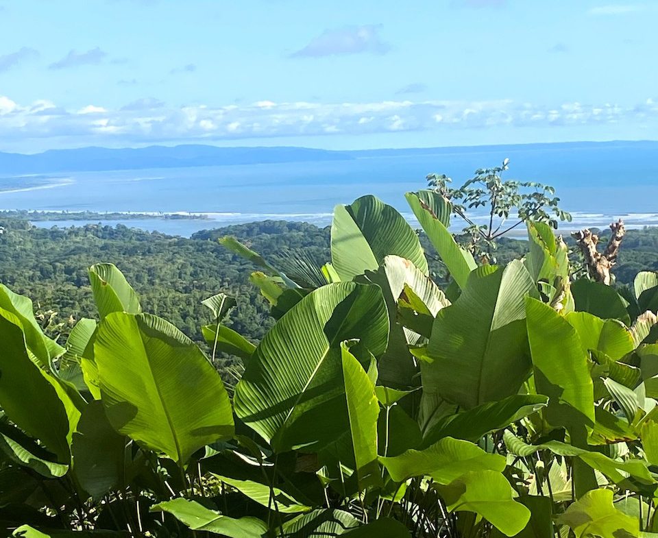 2 BEDROOM HOUSE WITH AMAZING OCEAN VIEWS – 1.02 ACRES
