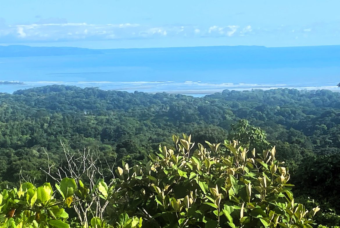 2 BEDROOM HOUSE WITH AMAZING OCEAN VIEWS – 1.02 ACRES