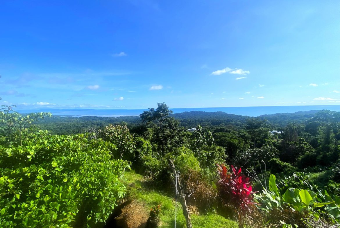 2 BEDROOM HOUSE WITH AMAZING OCEAN VIEWS – 1.02 ACRES