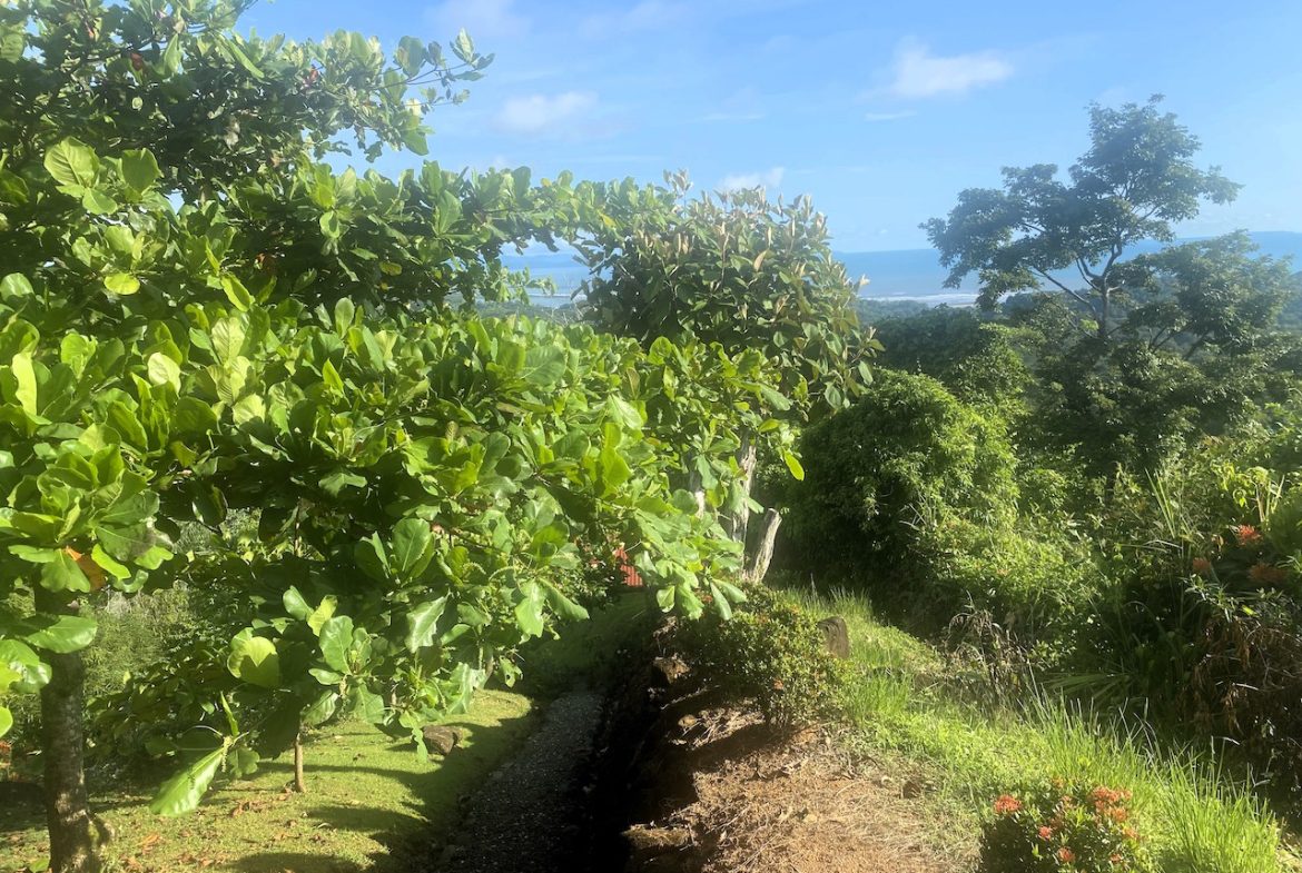 2 BEDROOM HOUSE WITH AMAZING OCEAN VIEWS – 1.02 ACRES