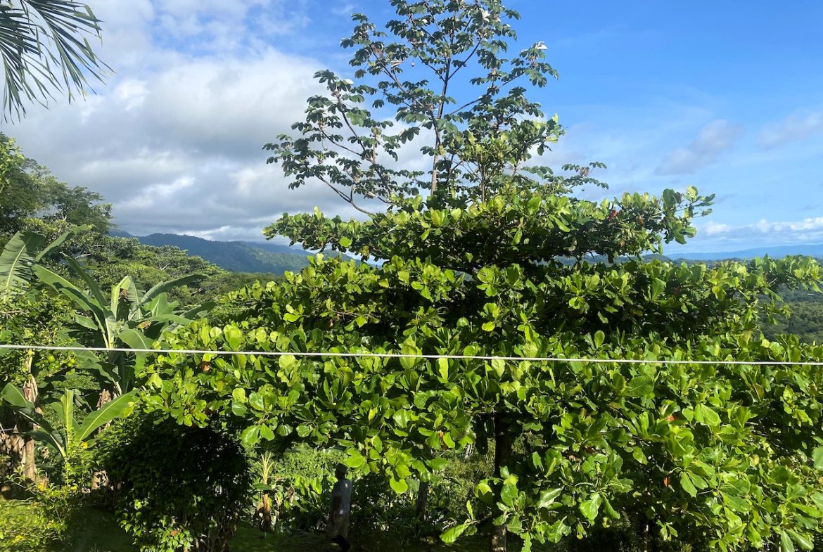 2 BEDROOM HOUSE WITH AMAZING OCEAN VIEWS – 1.02 ACRES