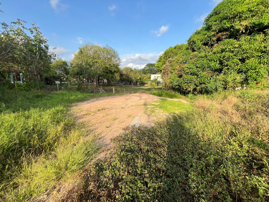 EXCITING INVESTMENT OPPORTUNITY 477 SQM LOT FOR SALE IN BAHIA UVITA