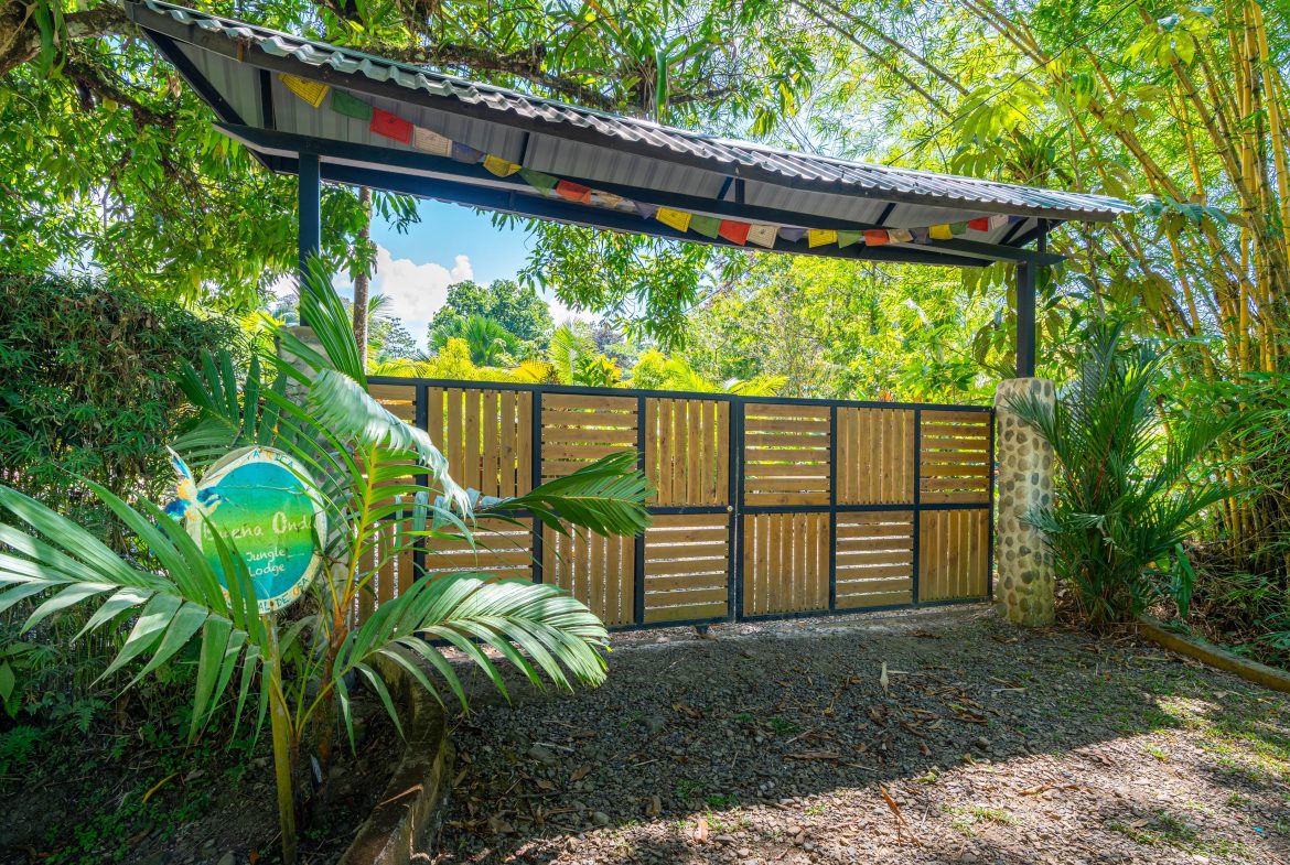 Buena Onda-Good Vibes Ojochal, Uvita, Costa Rica — photo 7