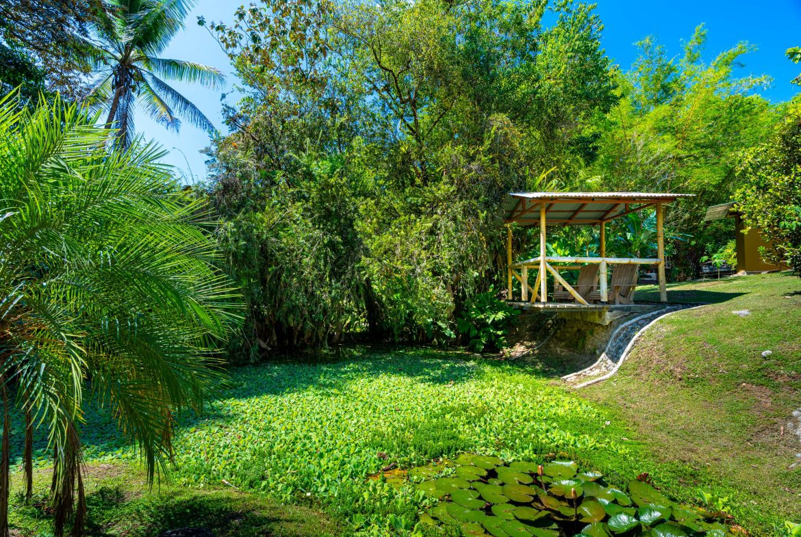 Buena Onda-Good Vibes Ojochal, Uvita, Costa Rica — photo 4