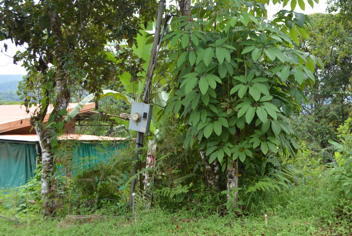 WALKING DISTANCE TO TOWN FORESTED LAND- 7.6 ACRES