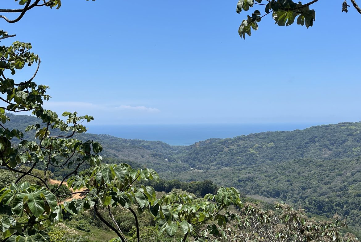 OCEAN VIEW 3 BEDROOM HOME IN PLATANILLO – 1.97 ACRES, Uvita, Costa Rica — photo 3