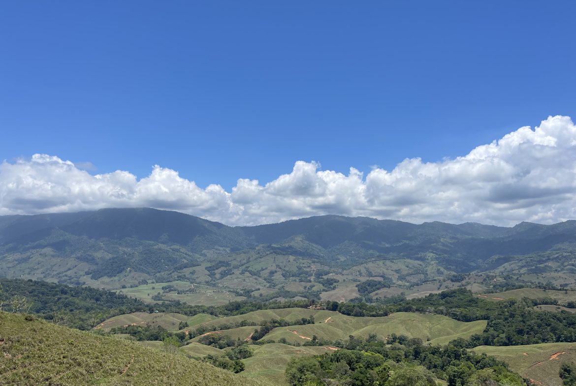 OCEAN VIEW 3 BEDROOM HOME IN PLATANILLO – 1.97 ACRES