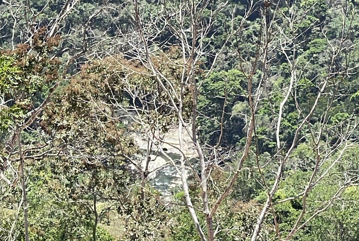 OCEAN VIEW 3 BEDROOM HOME IN PLATANILLO – 1.97 ACRES
