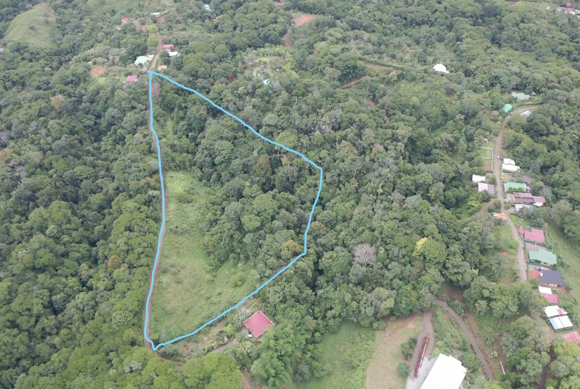 WALKING DISTANCE TO TOWN FORESTED LAND- 7.6 ACRES