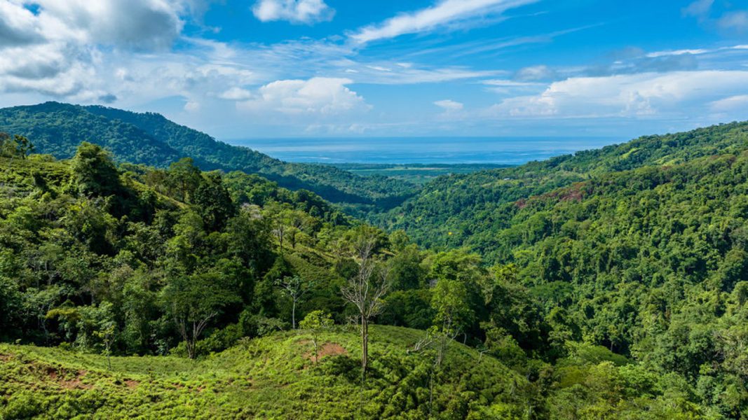 PORTALON PROPERTY - DEVELOPMENT POTENCIAL WITH OCEAN VIEWS AND ...