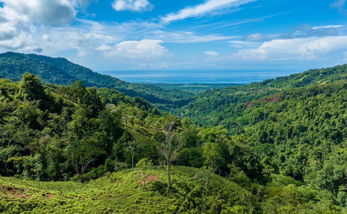PORTALON PROPERTY – DEVELOPMENT POTENCIAL WITH OCEAN VIEWS AND WATERFALLS – 238 ACRES