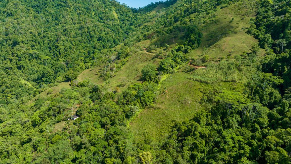 PORTALON PROPERTY - DEVELOPMENT POTENCIAL WITH OCEAN VIEWS AND ...