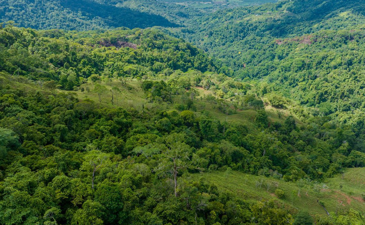 PORTALON PROPERTY – DEVELOPMENT POTENCIAL WITH OCEAN VIEWS AND WATERFALLS – 238 ACRES