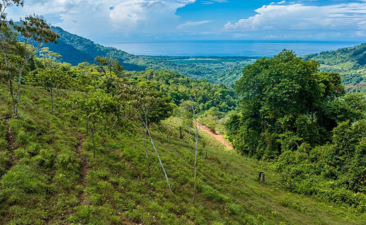 PORTALON PROPERTY – DEVELOPMENT POTENCIAL WITH OCEAN VIEWS AND WATERFALLS – 238 ACRES