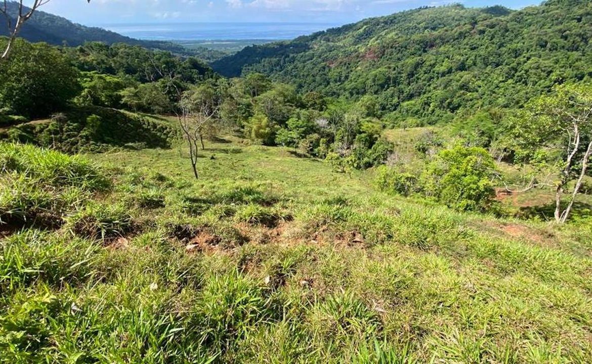 PORTALON PROPERTY – DEVELOPMENT POTENCIAL WITH OCEAN VIEWS AND WATERFALLS – 238 ACRES