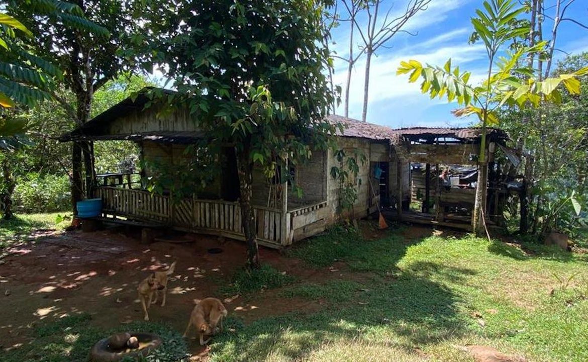 PORTALON PROPERTY – DEVELOPMENT POTENCIAL WITH OCEAN VIEWS AND WATERFALLS – 238 ACRES