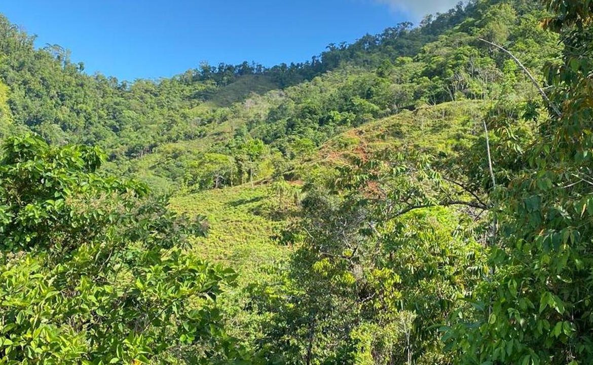 PORTALON PROPERTY – DEVELOPMENT POTENCIAL WITH OCEAN VIEWS AND WATERFALLS – 238 ACRES
