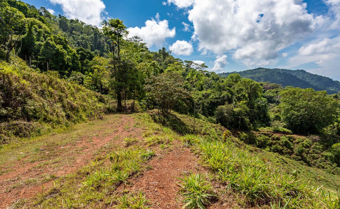 PORTALON PROPERTY – DEVELOPMENT POTENCIAL WITH OCEAN VIEWS AND WATERFALLS – 238 ACRES