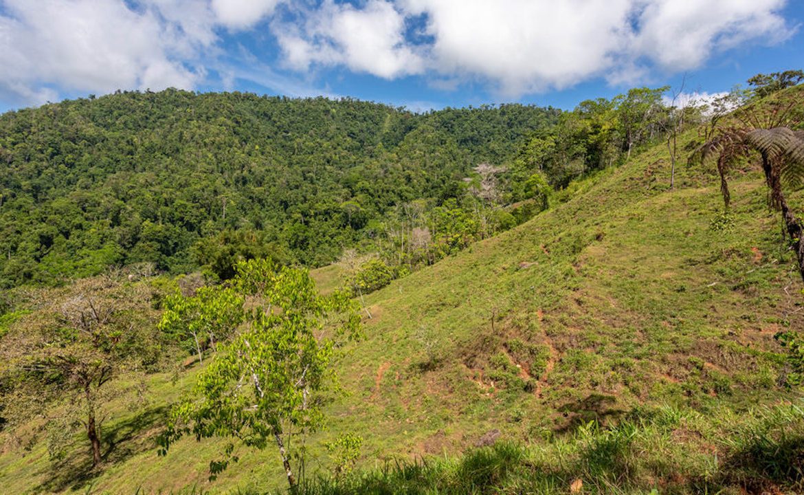 PORTALON PROPERTY – DEVELOPMENT POTENCIAL WITH OCEAN VIEWS AND WATERFALLS – 238 ACRES