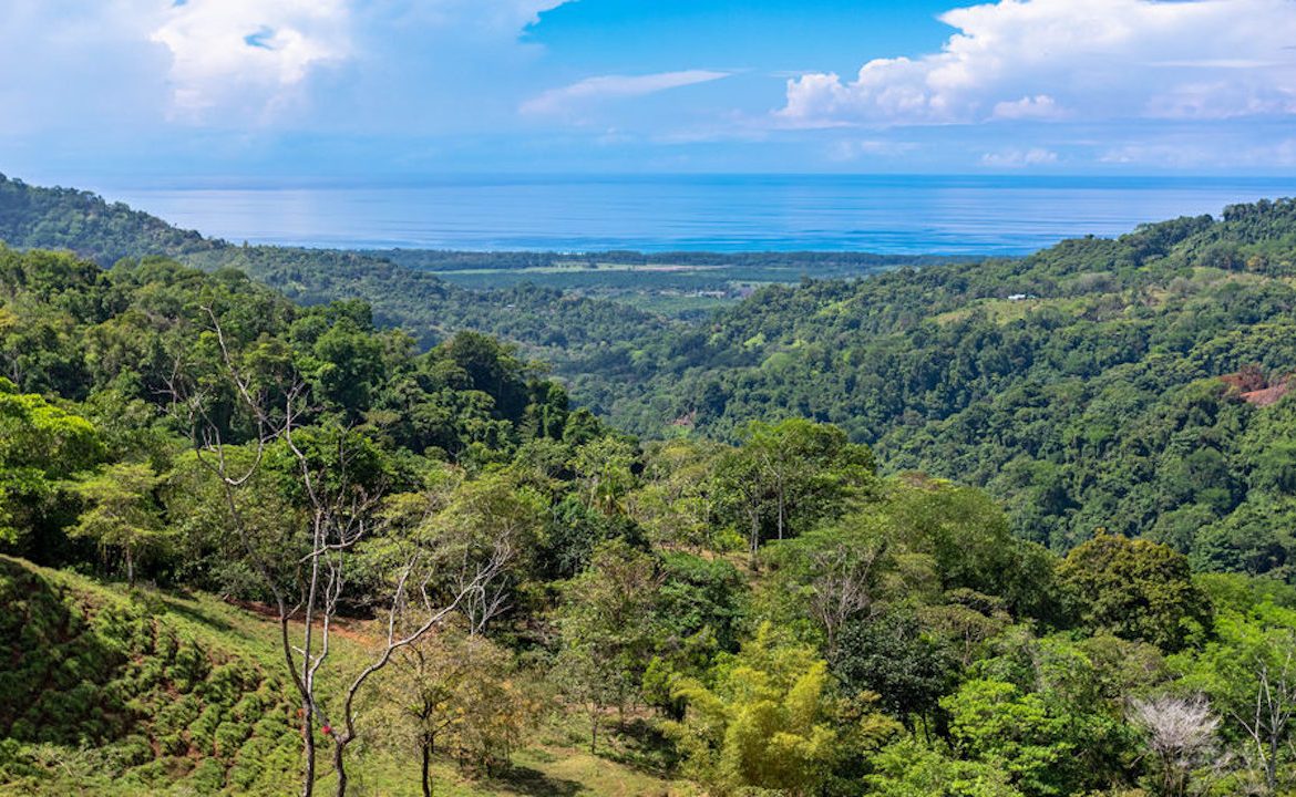 PORTALON PROPERTY – DEVELOPMENT POTENCIAL WITH OCEAN VIEWS AND WATERFALLS – 238 ACRES