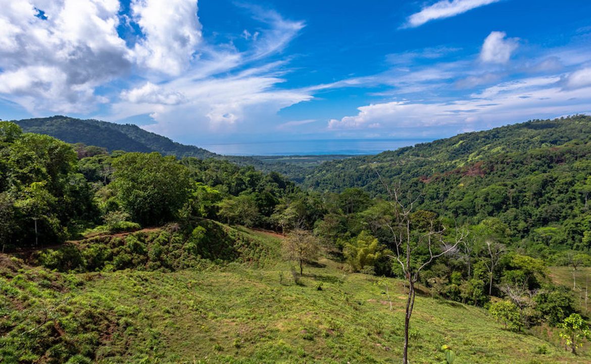 PORTALON PROPERTY – DEVELOPMENT POTENCIAL WITH OCEAN VIEWS AND WATERFALLS – 238 ACRES