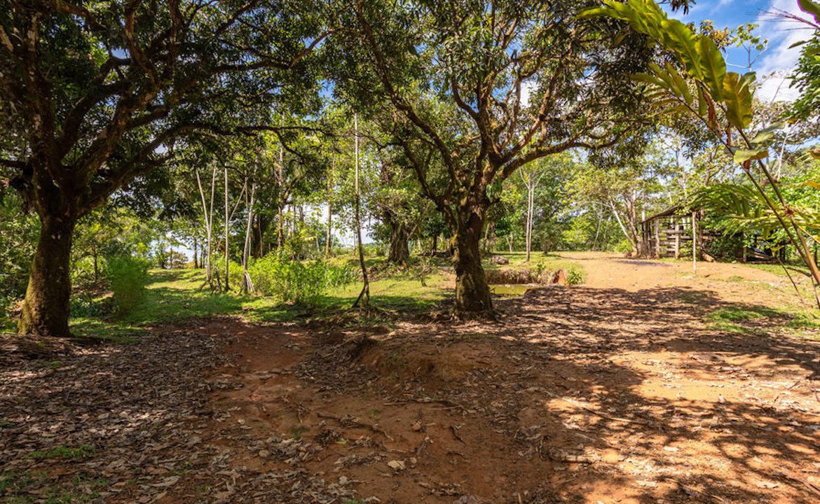 PORTALON PROPERTY – DEVELOPMENT POTENCIAL WITH OCEAN VIEWS AND WATERFALLS – 238 ACRES