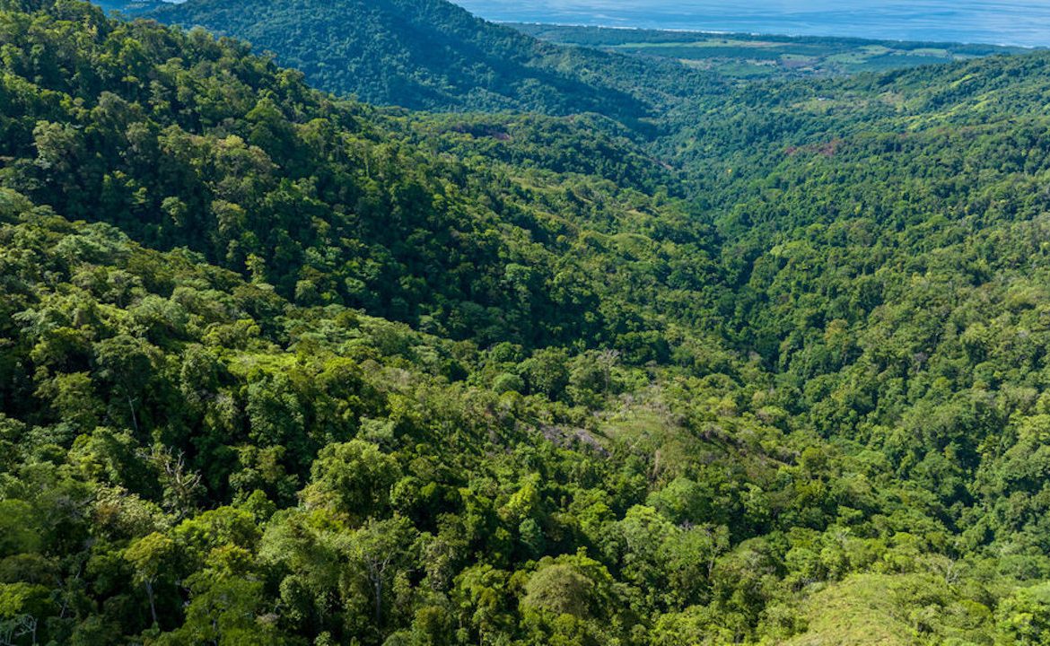 PORTALON PROPERTY – DEVELOPMENT POTENCIAL WITH OCEAN VIEWS AND WATERFALLS – 238 ACRES