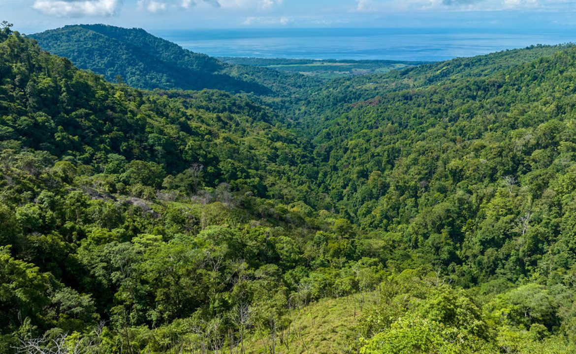 PORTALON PROPERTY – DEVELOPMENT POTENCIAL WITH OCEAN VIEWS AND WATERFALLS – 238 ACRES