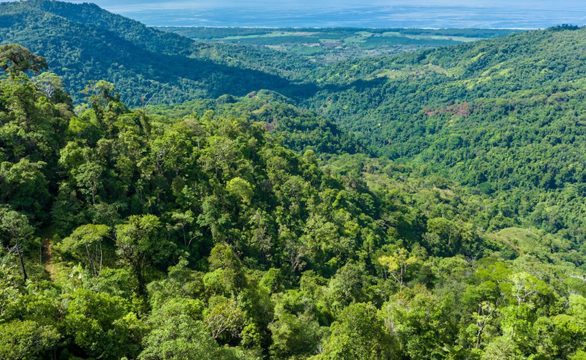 PORTALON PROPERTY – DEVELOPMENT POTENCIAL WITH OCEAN VIEWS AND WATERFALLS – 238 ACRES