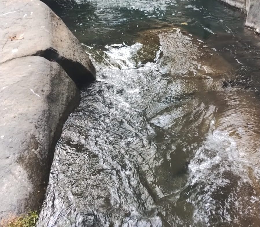 RIVER ACCESS, LEGAL WATER,ELECTRICITY, NATURAL BUILDING SITES – 9 ACRES